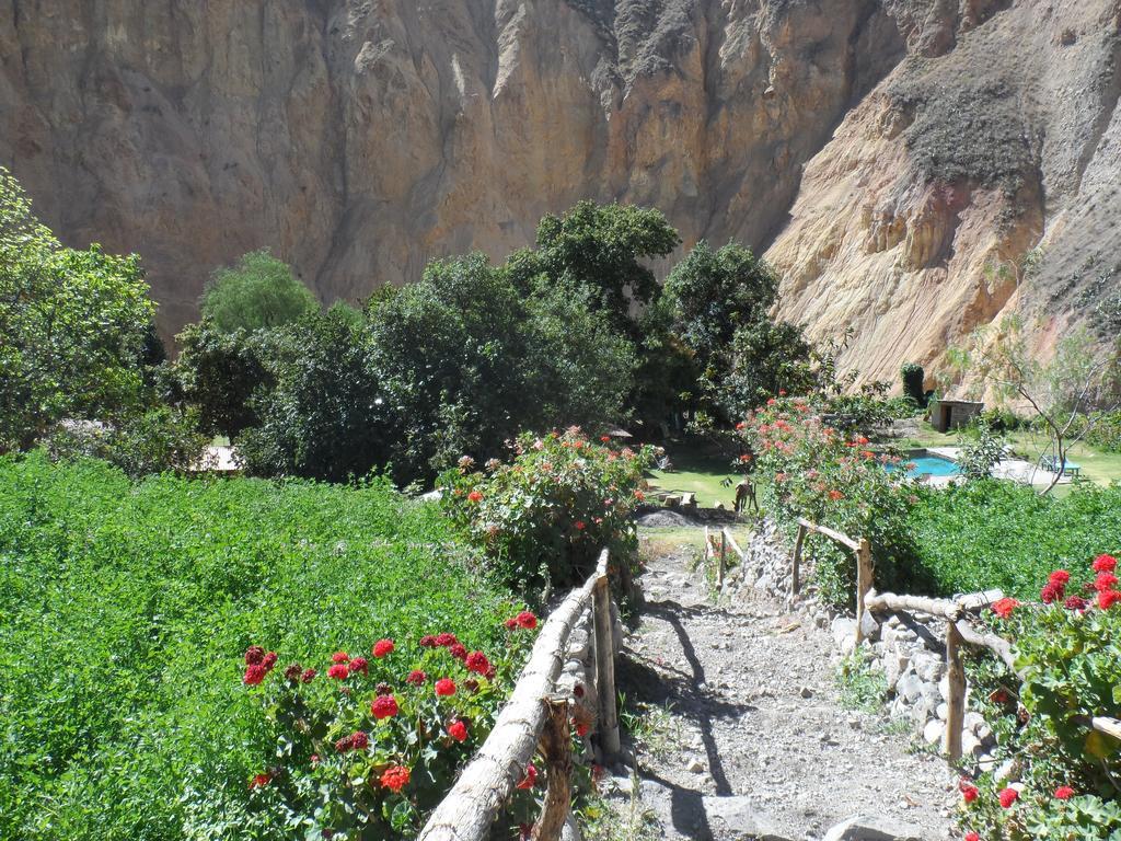 קבאנהקונדה Oasis Paraiso Ecolodge מראה חיצוני תמונה